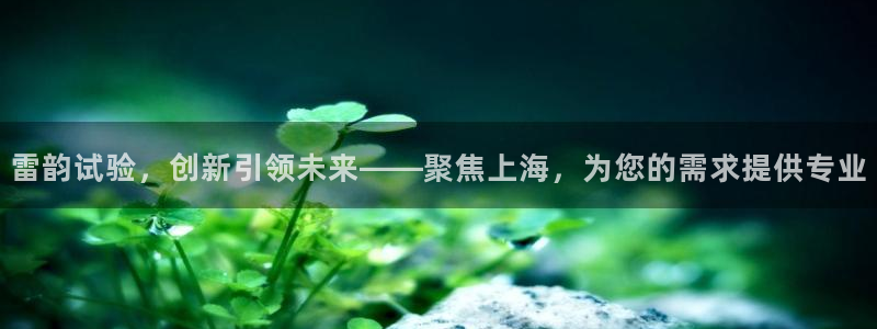 恒行娱乐景74ooo5诿抢：雷韵试验，创新引领未来——聚焦上