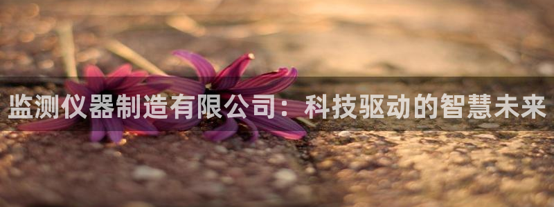 恒行2那74OO5：监测仪器制造有限公司：科技驱动的智慧未来