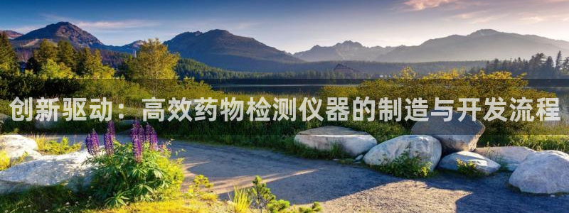 恒行娱乐郑74OOO5：创新驱动：高效药物检测仪器的制造与开