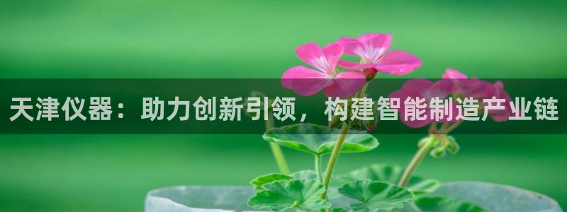 恒行娱乐热74ooo5主宰：天津仪器：助力创新引领，构建智能