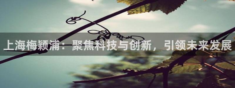 恒行2周74OOO5：上海梅颖浦：聚焦科技与创新，引领未来发