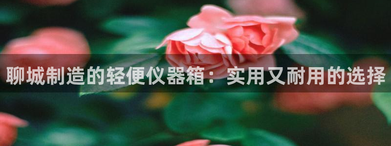 恒行娱乐蒋74OOO5：聊城制造的轻便仪器箱：实用又耐用的选
