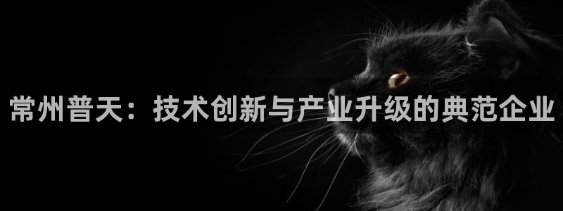恒行娱乐登录信用 74ooo5：常州普天：技术创新与产业升级