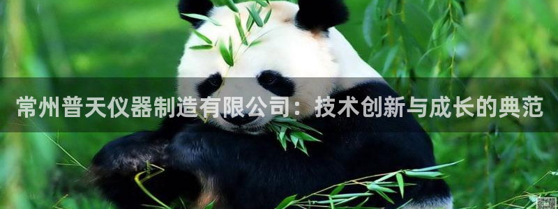 恒行2下74OOO5：常州普天仪器制造有限公司：技术创新与成