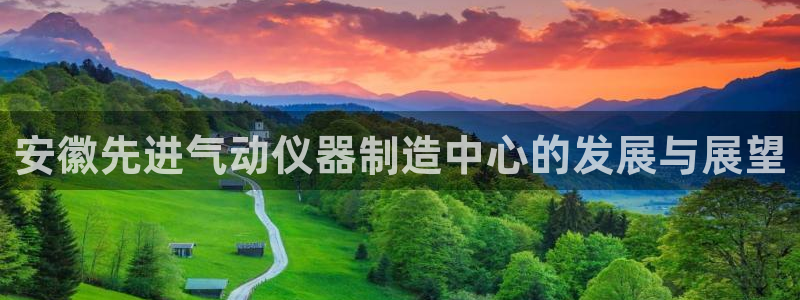 恒行娱乐5ll533主管优雅：安徽先进气动仪器制造中心的发展