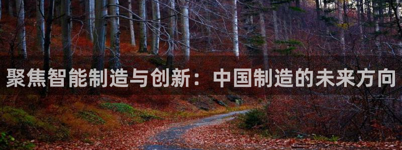 恒行开户娱乐6ll5l特惠：聚焦智能制造与创新：中国制造的未