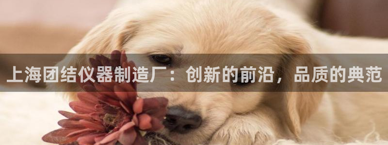 恒行娱乐5ll533主管正直：上海团结仪器制造厂：创新的前沿