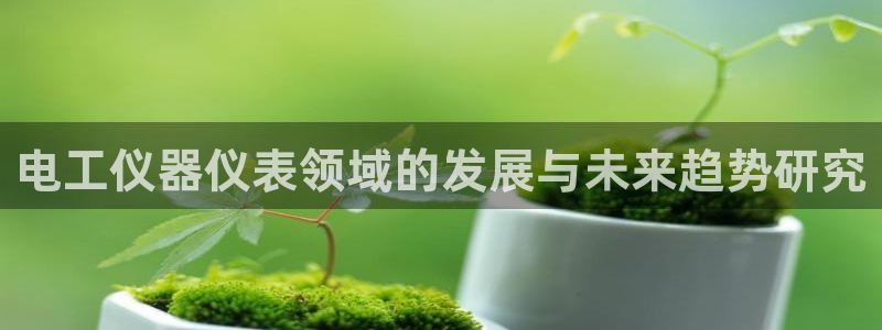 恒行2那74OOO5：电工仪器仪表领域的发展与未来趋势研究