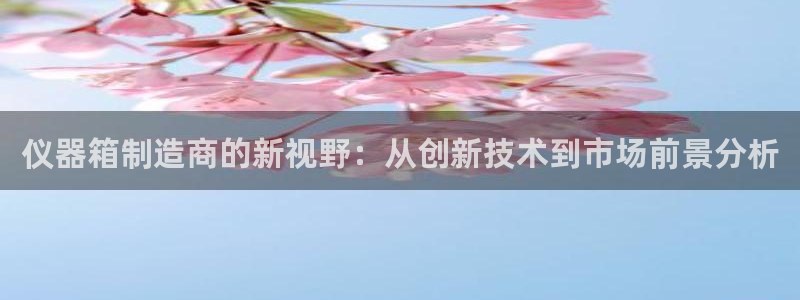 恒行2褚74OOO5：仪器箱制造商的新视野：从创新技术到市场