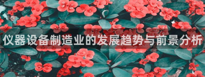 恒行娱乐5ll533主管耐心：仪器设备制造业的发展趋势与前景