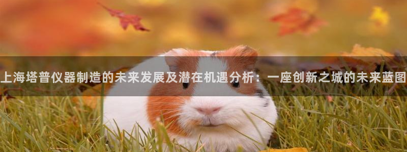 恒行5娱乐：上海塔普仪器制造的未来发展及潜在机遇分析：一座创