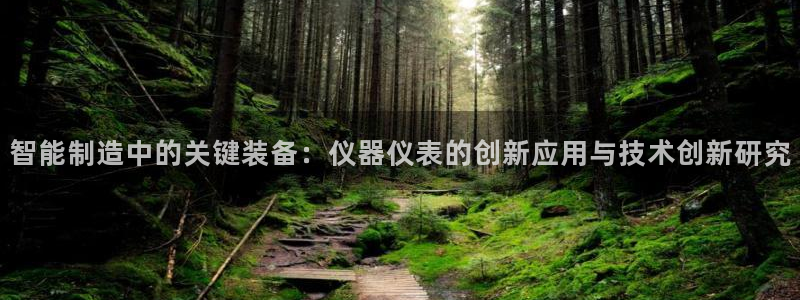 恒行2地74OOO5：智能制造中的关键装备：仪器仪表的创新应