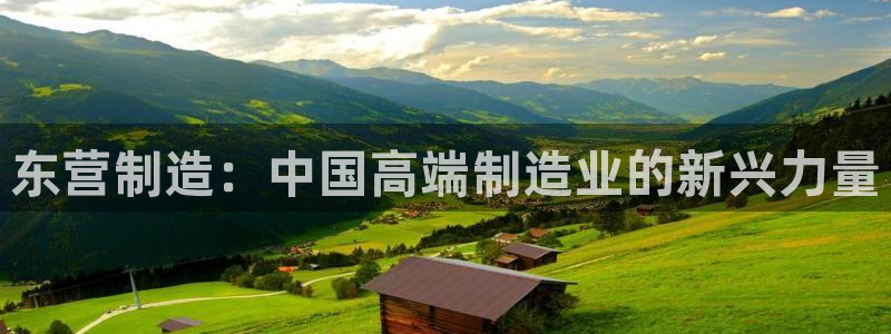 恒行2那74OO5：东营制造：中国高端制造业的新兴力量