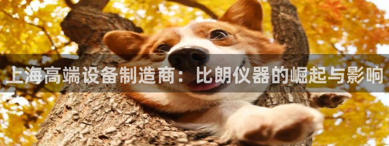 恒行娱乐卫74OOO5：上海高端设备制造商：比朗仪器的崛起与