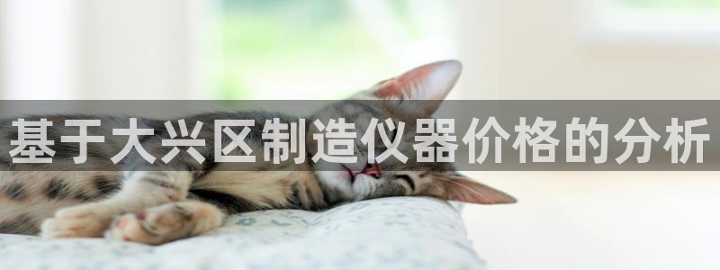 恒行5娱乐：基于大兴区制造仪器价格的分析